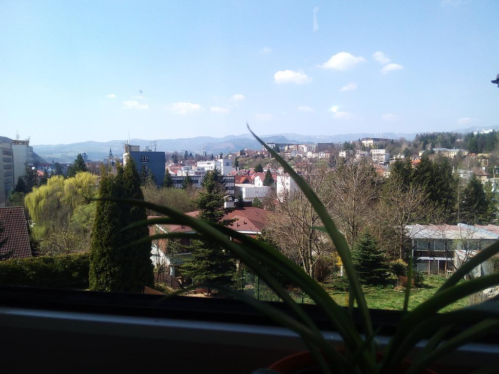 Apartman Danka Banska Bystrica Room photo